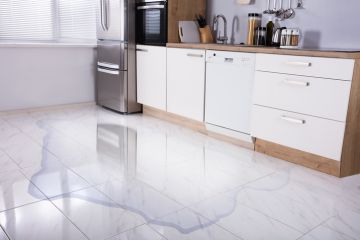 Eastpointe Appliance leak repair by Flood & Fire Solutions, Inc
