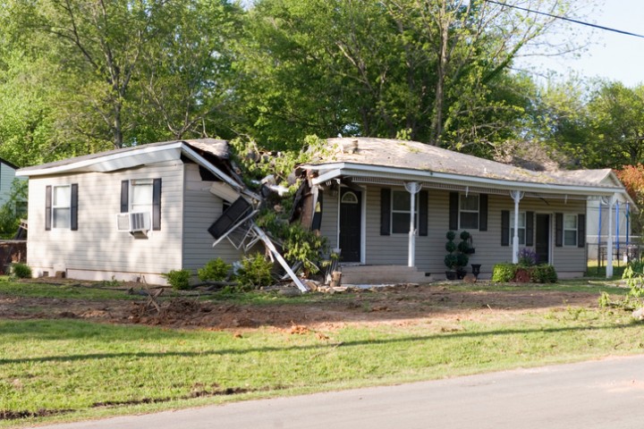 Fallen Tree Damage Restoration by Flood & Fire Solutions, Inc