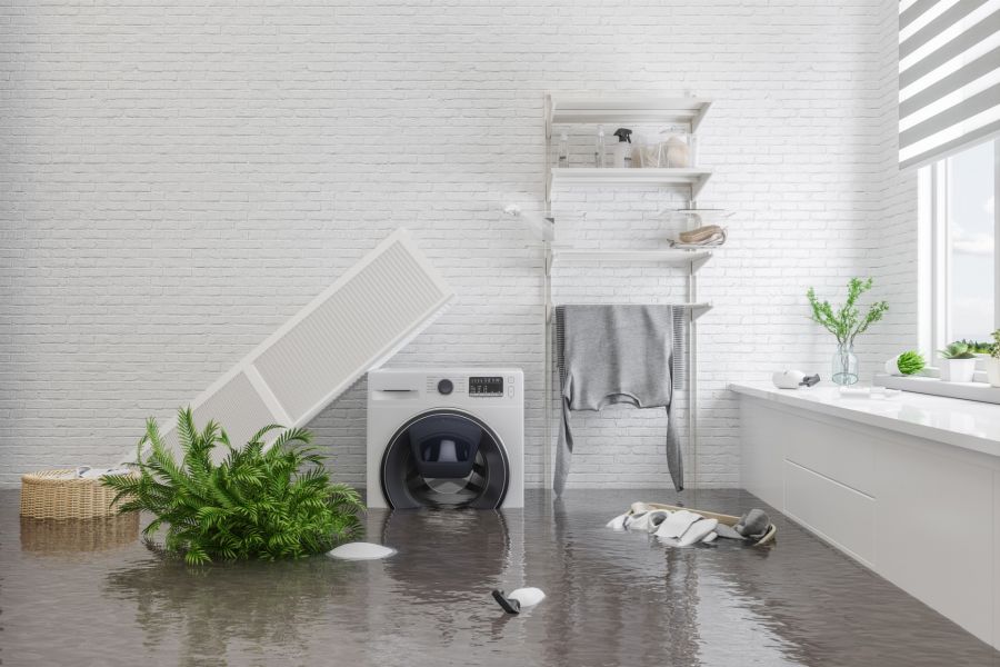 Restoration Services by Flood & Fire Solutions, Inc