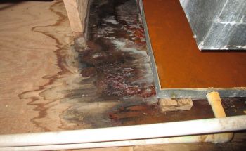 AC Leak Restoration in Wales, Michigan by Flood & Fire Solutions, Inc