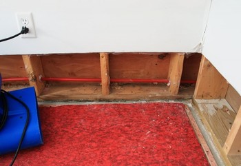 Basement Flood in Kimball Township, Michigan