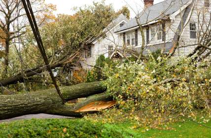 Storm damage restoration in Wales by Flood & Fire Solutions, Inc