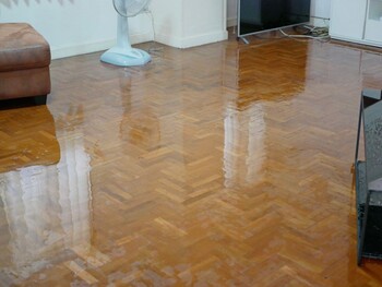 House Flooding Restoration by Flood & Fire Solutions, Inc