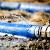 Sang Sewage Cleanup by Flood & Fire Solutions, Inc