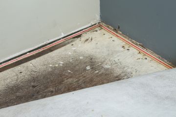 Flooded Carpet Dry Out in Kimball Township