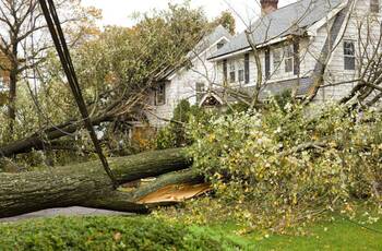Storm Damage Claims in Lenox Township, Michigan by Flood & Fire Solutions, Inc